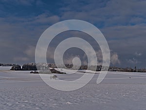 Winter landscape near Burladingen, Germany in Swabian Alb with snow-covered fields, forest on horizon and dramatic sky.