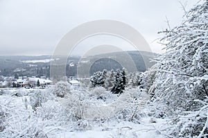 Winter landscape near Hellenthal in Germany