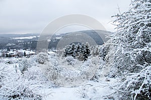 Winter landscape near Hellenthal - Germany