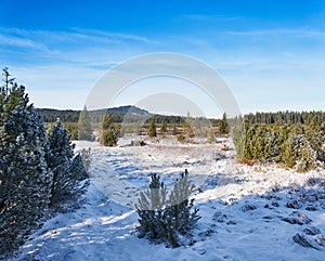 Winter landscape near Kvilda