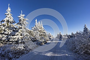 Winter landscape near Velka Destna, Orlicke mountains, Eastern Bohemia, Czech Republic