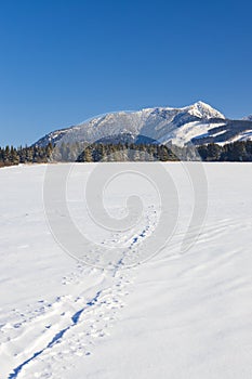 Zimní krajina u Oravic, Západní Tatry Roháče, Slovensko