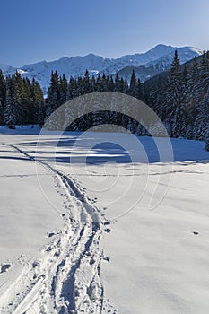 winter landscape nearby Zverovka, Western Tatras (Rohace), Slovakia