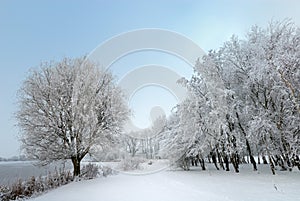 Winter landscape in the Netherlands