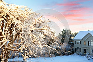 Winter landscape of New England on at sunrise after the first snow, Boston, Massachusetts, USA.