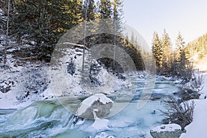 winter landscape a nonfreezing stream in winter snowy forest