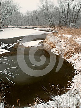 Winter Landscape Northern Illinois