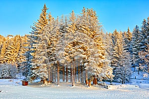 Winter landscape in Norway