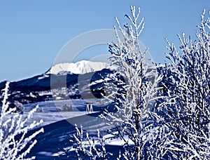 Winter Landscape in Norway