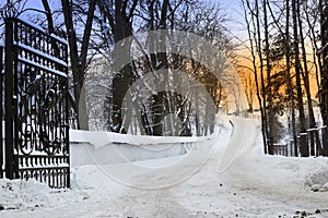 Winter landscape with open iron gate and snowy road between bare trees