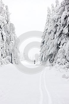 winter landscape, Orlicke Moutnains, Czech Republic