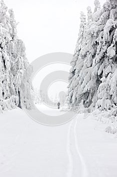 winter landscape, Orlicke Moutnains, Czech Republic photo