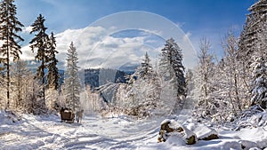 Winter landscape, panorama, banner - view of the snowy road with sleighs, harnessed by horses