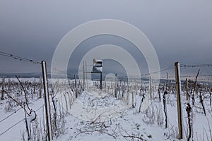 Winter landscape panorama. Snow covered vineyard. In the background of Palava. No sky is fog and cloudy sky