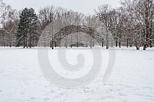 Winter and snow in Berlin photo