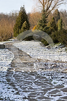 Winter landscape in the park