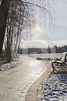 Winter landscape in the park