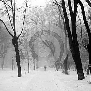 Winter landscape in the park with people passing by