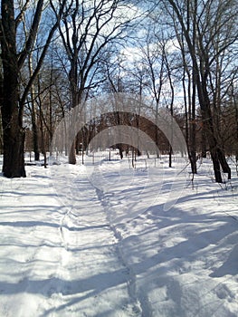 Winter landscape. A path through the trees leading to a rural park located behind a fence. Photo