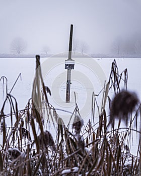 Winter landscape at the Peitz ponds