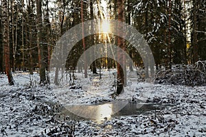 Winter landscape of a picturesque park, the setting sun between the trees in the reflection of the ice