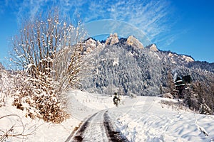Winter Landscape In Pieniny Mountains