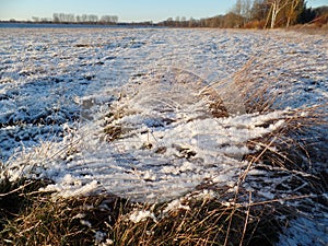 Winter landscape and plants with ice crystals