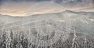 Winter landscape in polish beskidy mountains