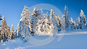 Winter landscape in the Polish mountains of the Sudetes, snow-covered forest on a hiking trail in the mountains, thick snow cover