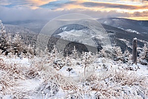 Winter landscape in the Polish mountains of the Sudetes, the view from the Marianskie Skaly summit to the snow-capped mountain