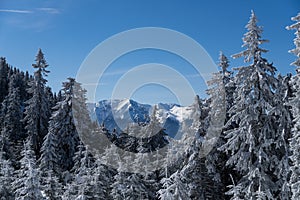 Winter landscape, Postavaru Mountains, Romania