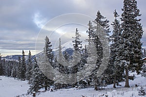 Winter landscape - Rax Mountain in the Austrian Alps, Austria