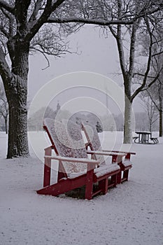 Winter landscape - red Muskoka adirondack wooden chairs in city park in heavy snowstorm