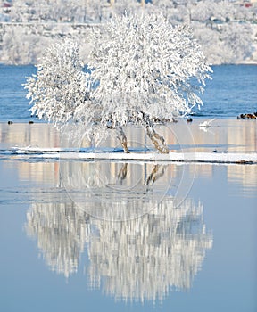 Winter landscape with reflection in the water