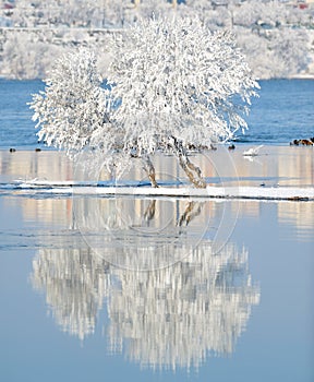 Winter landscape with reflection in the water