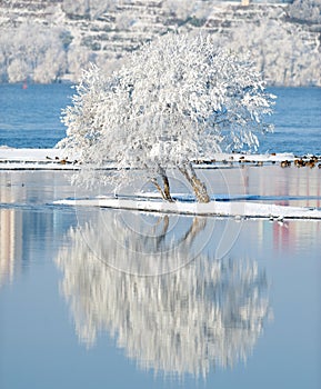 Winter landscape with reflection in the water