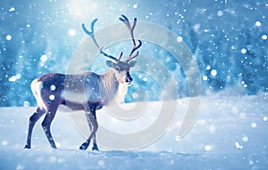 Winter landscape with reindeer and snowflakes flying around.