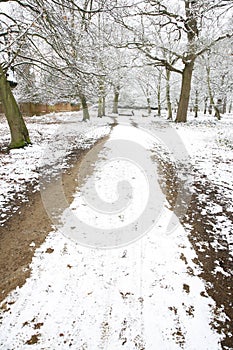 Winter landscape of Richmond Park