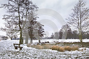 Winter landscape in Richmond Park, in London