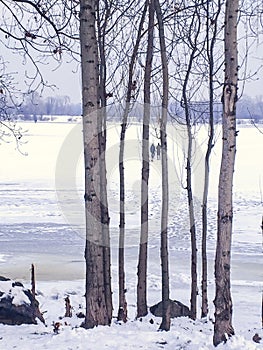 Winter landscape: a river covered with ice, tree trunks, two people walk on the ice