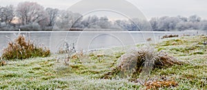 Winter landscape with river and frost-covered grass on the river bank, panorama
