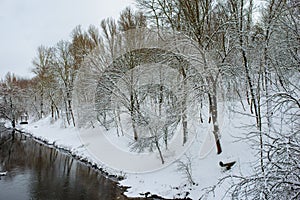 Winter landscape with the river in frosty day