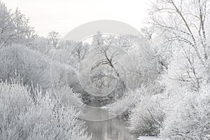 Winter landscape - river and frosty trees on shore