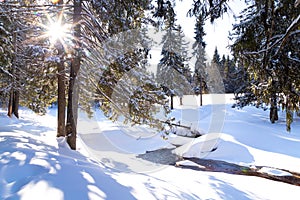 Winter landscape with river, snowdrifts and northern sun in a forest