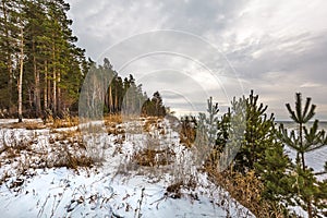 Winter landscape with a river. Western Siberia