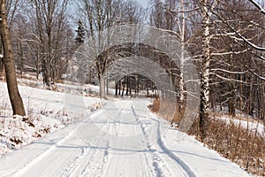 Winter landscape with road forest and blue sky. Wintry path. Frosty sunny day. Snowy winterly landscape.