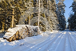 Winter landscape, road in forest in a winter.