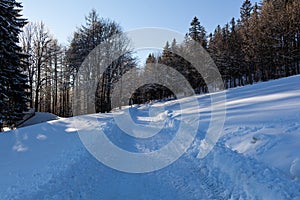 Winter landscape, the road goes into the distance, along the burned down snow-covered trees. Fabulous, mystical photo