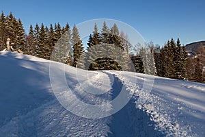 Winter landscape, the road goes into the distance, along the burned down snow-covered trees. Fabulous, mystical photo