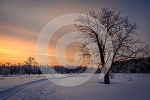 Winter landscape with road, trees covered snow and sunrise. Winter morning of a new day.